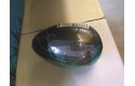 Thumbnail of alien-egg-with-baby1_333134.jpg