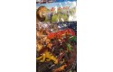 Thumbnail of animal-toy-set_633028.jpg