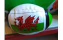 Thumbnail of mina-wales-flag-rugby-ball_333504.jpg