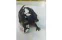 Thumbnail of mystical-dragons_401272.jpg