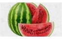 Thumbnail of watermelon_575062.jpg