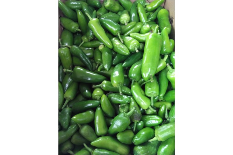Bullet Chilli £12.99 /KG