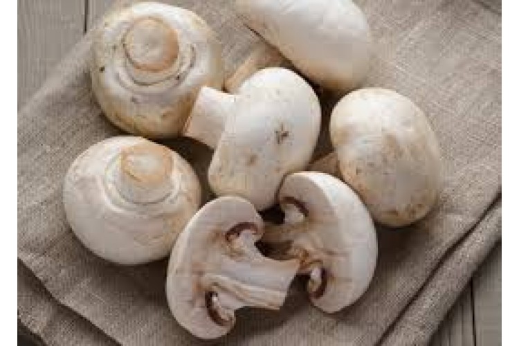 Mushrooms 3.49 / KG